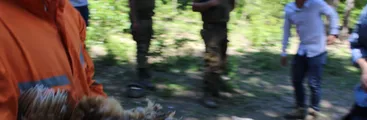 Despojo campesino y maltrato animal marcan tercera jornada de desalojos en San Fabián