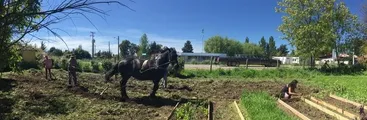 Bifurcaciones en la senda de la Agroecología: Cooptación institucional versus soberanía alimentaria