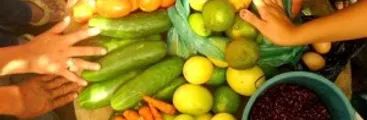 Proceso Constituyente: Reafirman necesidad de que Chile desarrolle Soberanía Alimentaria