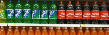 La dieta impuesta por la agroindustria como responsable de la crisis alimentaria, ecológica y cultural en Chile