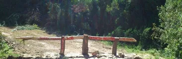 Forestal Arauco desiste de apelación y acata fallo que le obliga a devolver 97 hectáreas a comunidad mapuche