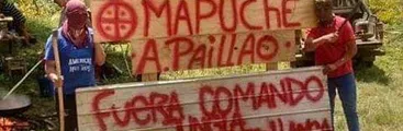 Comunidad Cacique Antonio Paillao ingresó a recuperar terrenos a forestal Mininco en Tirúa