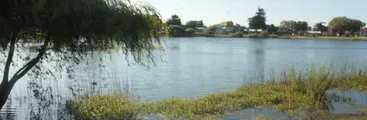 Fuegos artificiales en las lagunas: Un daño a la biodiversidad de ecosistemas de Concepción