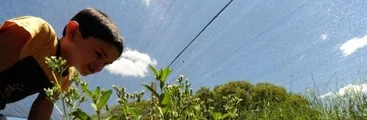 Estudio confirma que la población infantil expuesta a fumigaciones con agrotóxicos tiene daño genético en Paraguay