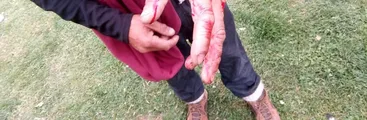 Con heridos con perdigones por Carabineros se desarrolló protesta de pescadores artesanales en Valdivia