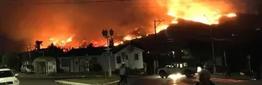 Incendios forestales en Carahue cobran dos víctimas fatales y cuantiosos daños materiales en 350 hectáreas afectadas