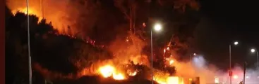 Incendios forestales en Penco, Florida, San Pedro, Coronel y Talcahuano se combaten en medio de fuertes vientos