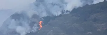 Cerca de 6 mil hectáreas de bosque nativo consumen incendios en Aysén