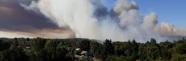 Incendios en Nacimiento, Tirúa y Alto Biobío siguen activos, mientras se soslaya incidencia del negocio forestal en ellos