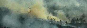 ONEMI decreta Alerta Roja para Quillón y Ránquil por incendio en plantaciones de Forestal Arauco