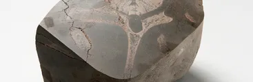 Recorriendo nuestro pasado remoto en la Región del Biobío