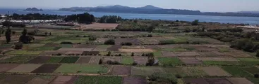 Buscan revocar permiso ambiental de proyecto Puente Industrial por afectación a producción agrícola de San Pedro y al humedal Los Batros