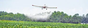 Los costos silenciados del agronegocio en Argentina