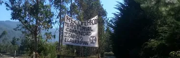 Por subsistencia y contra el hacinamiento: recuperación territorial mapuche a Forestal Mininco en fundo Tres Sauces en Cañete