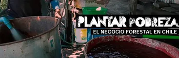 Foro sobre conflictos socioambientales por apropiación del agua y presentación de Plantar Pobreza se realizará en Santiago
