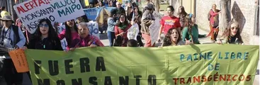 Un año de Monsanto & Bayer en Chile: Inversiones contaminantes