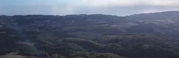 “Mientras estén las forestales va haber un conflicto con las comunidades” señala Alcalde de Tirúa tras plebiscito