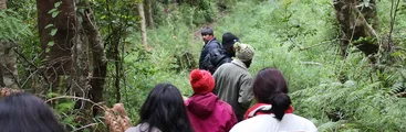 Taller de Bosques comestibles y soberanía alimentaria se realizó en Tirúa