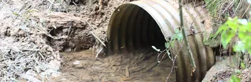VIDEO | Alertan de impactos socio-ambientales negativos del Parque Científico y Tecnológico en Concepción