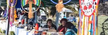 Realizan intercambio de semillas en Longaví por la agroecología y los saberes ancestrales campesinos