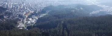 Irregular Parque Científico y Tecnológico del Biobío: ni siquiera tiene Estudio de Impacto Ambiental