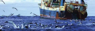 Cámara de Diputados aprobó proyecto de nulidad de la corrupta Ley de Pesca y ahora pasa al Senado