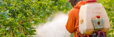 Estudio encuentra residuos de peligrosos pesticidas en el agua de la cuenca del río Cachapoal