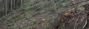 Invitan a conversatorio sobre impactos negativos del Parque Científico y Tecnológico del Biobío (PACyT)