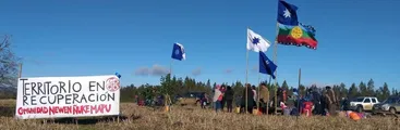 Comunidad mapuche inicia proceso de recuperación territorial en Curaco, comuna de Collipulli