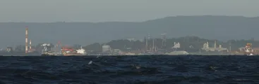 Estudio propone 8 urgentes medidas para proteger los océanos ante la crisis climática, la contaminación y la explotación industrial