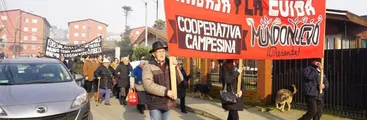 Continúa juicio contra campesinos de Mundo Nuevo en Curanilahue: Forestal Arauco les acusa de usurpación de tierras
