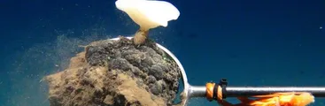 Minería submarina: Estados y empresas buscan explotar enormes yacimientos con alto riesgo de extinguir miles de especies