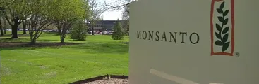 Reportaje revela que Monsanto pagó a Google para ocultar artículos en su contra