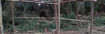 Mapuches recuperan y ejercen control territorial en Liucura bajo, Tirúa