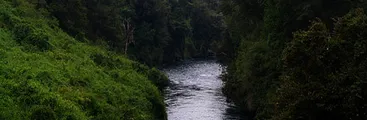 Día del Agua: movimiento socioambiental llama a un activismo en tiempos de pandemia