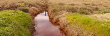 La contaminación de humedales ya es intercomunal: mancha roja llegó a Talcahuano