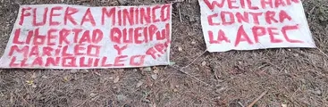 “Weichan contra la APEC”: queman maquinaria forestal en predio de Mininco en Contulmo
