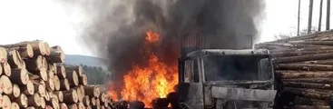 Atentan contra maquinaria forestal en predio de Mininco en Contulmo