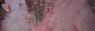 Continúa la contaminación de humedales en el Gran Concepción, ahora pintura industrial en el Humedal Paicaví