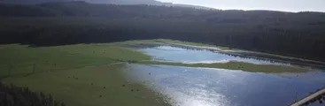 Humedal Tubul Raqui podría declararse santuario de la naturaleza: el expediente ya se entregó al Ministerio del Medio Ambiente