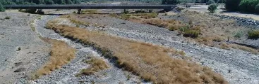 Alcalde de Petorca denuncia que empresas saquean el agua y pide prohibir plantación de paltos y cítricos