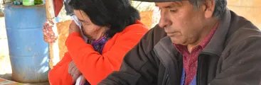 Luksic y el desalojo de Mauro II