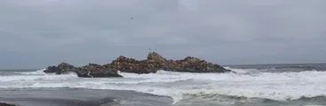 Empresa Cultivos Pelícano desiste de 6 proyectos acuícolas en la costa de Ñuble