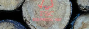 Documental | Capitalismo verde forestal: ¿Corrupción en los sellos ecológicos FSC?