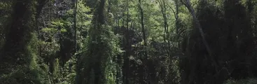 Si hay que volver a algo, que sea a la Tierra