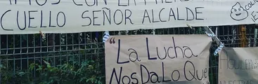 Apoderados se toman Escuela Caleta del Medio de Coliumo ante denuncias por insalubridad: prohibieron su funcionamiento