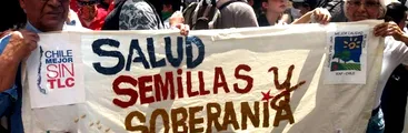 El TPP-11 y las trampas de la nueva Constitución: una posible "jugada maestra"