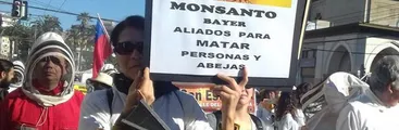RAP-AL expone alarmantes antecedentes respecto a los efectos del uso de agrotóxicos en Chile