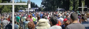 AUDIO | Crónica de Ruperto Concha: Pisarle la cola al diablo
