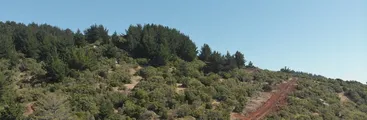 Denuncian daño a bosque nativo y restricción de acceso a playas en Santuario de la Naturaleza Península de Hualpén